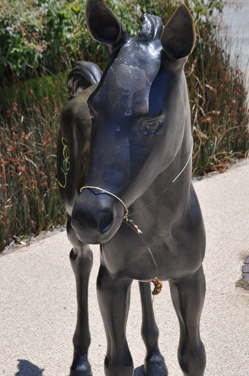 flower-bridle